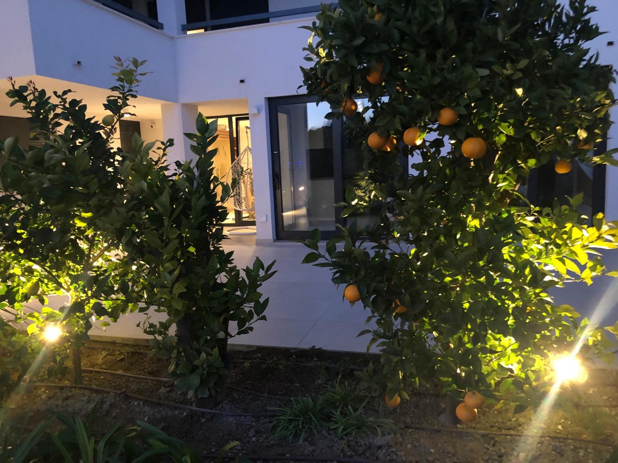 Apartments Villa Ladini سبليت المظهر الخارجي الصورة